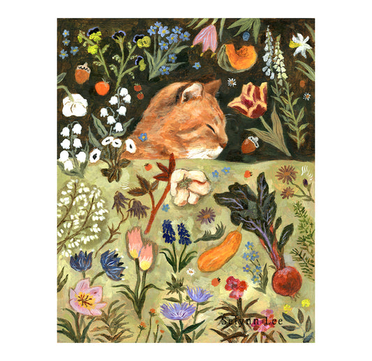 An orange cat and spring garden