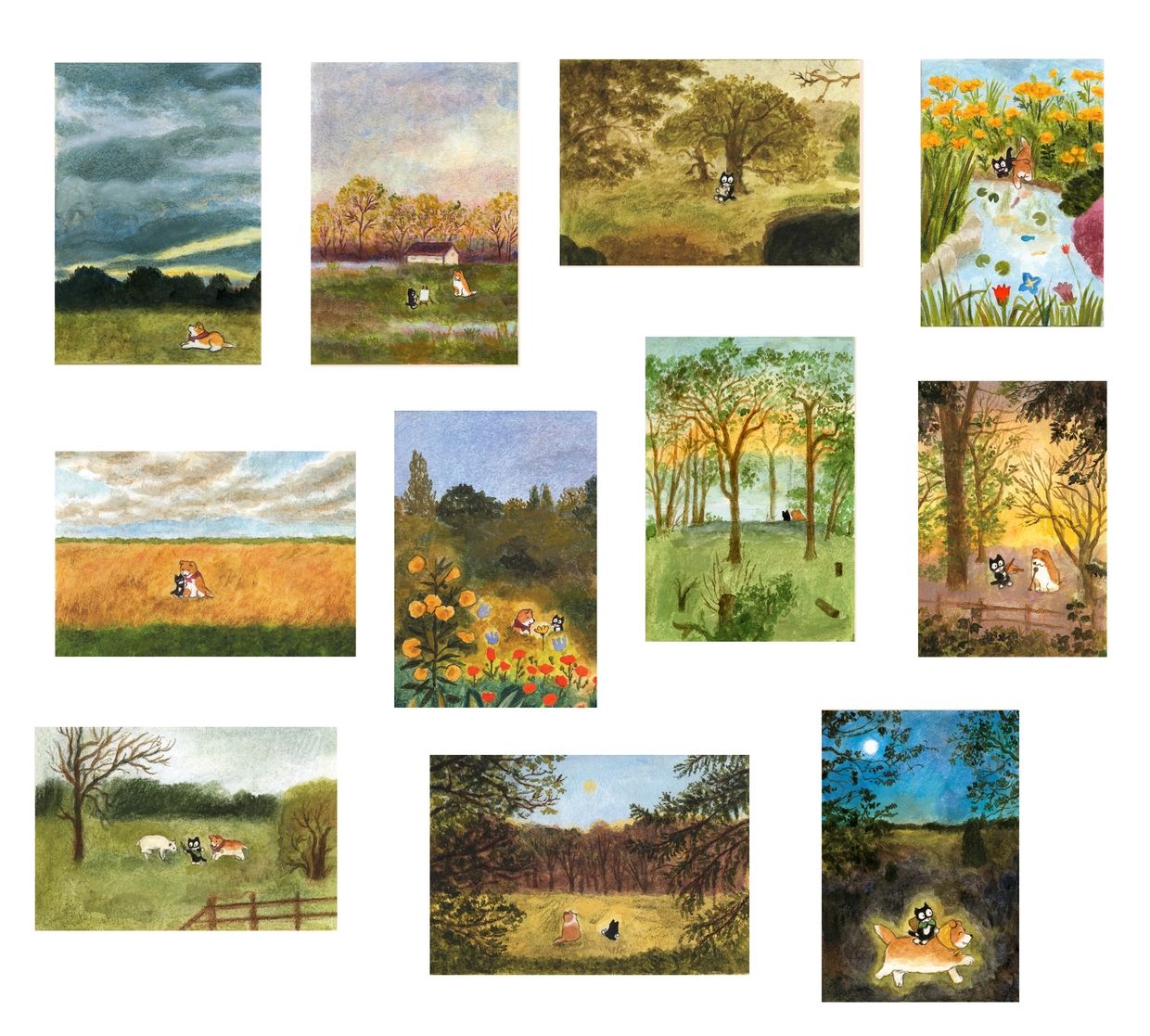 20 Landscape Postcards