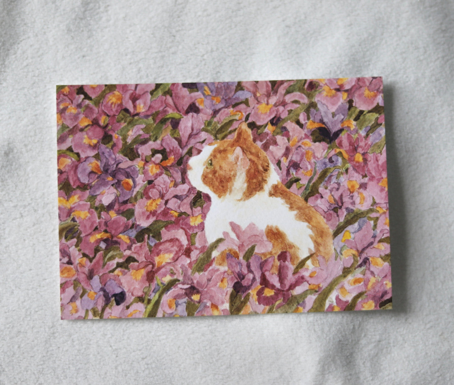 Ginger cat in violet iris garden