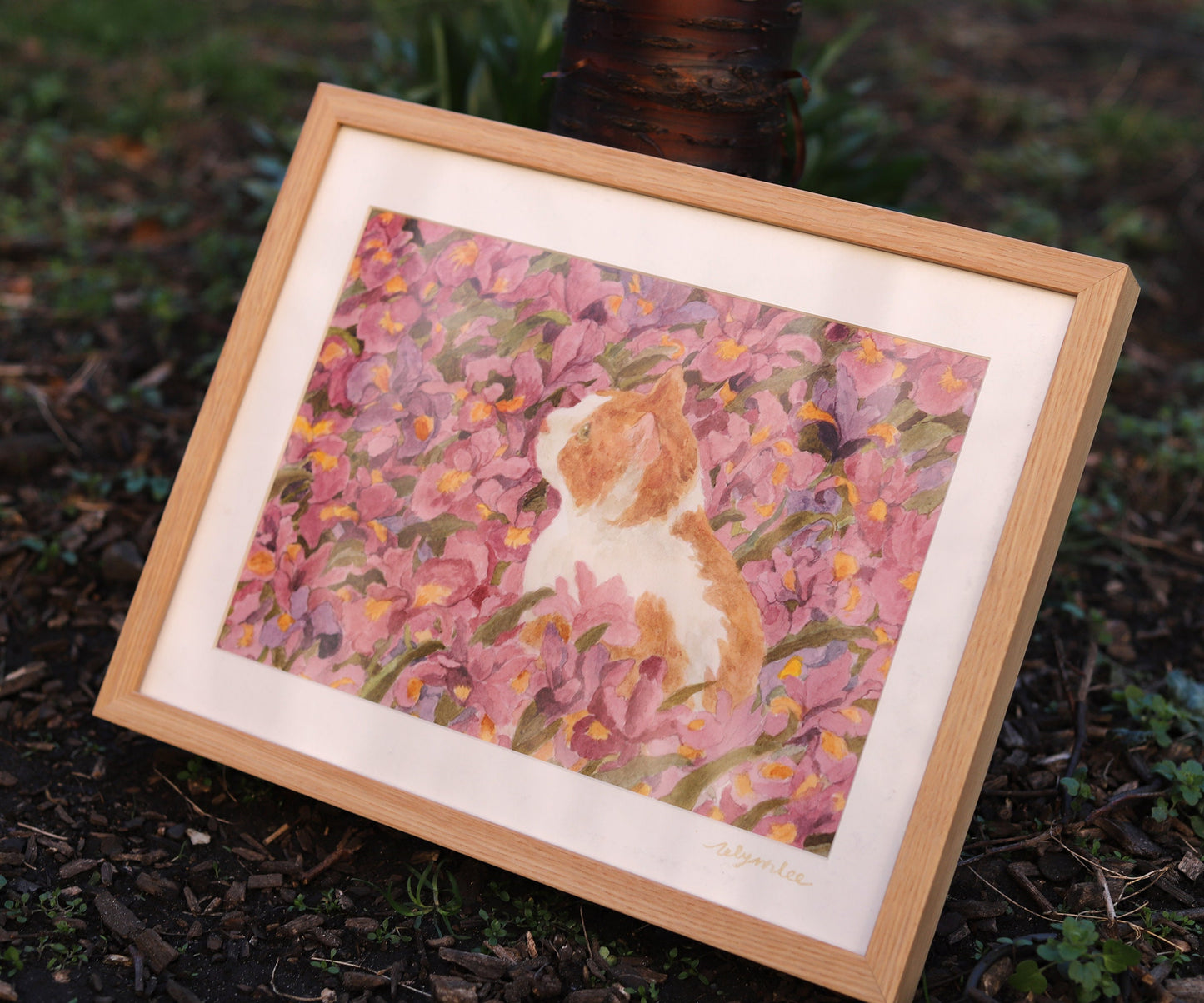 Ginger cat in violet iris garden