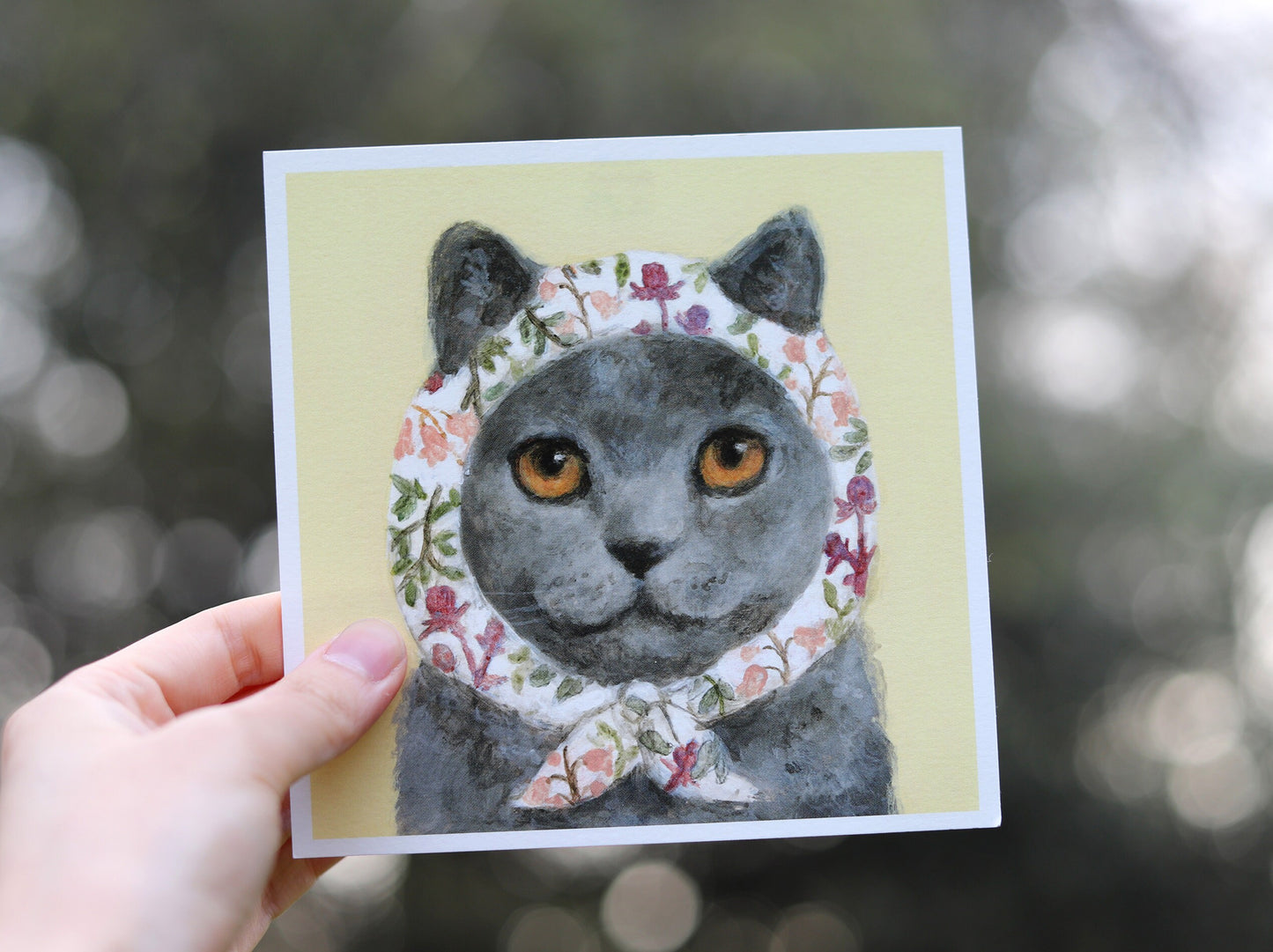 Earl - Grey Babushcat