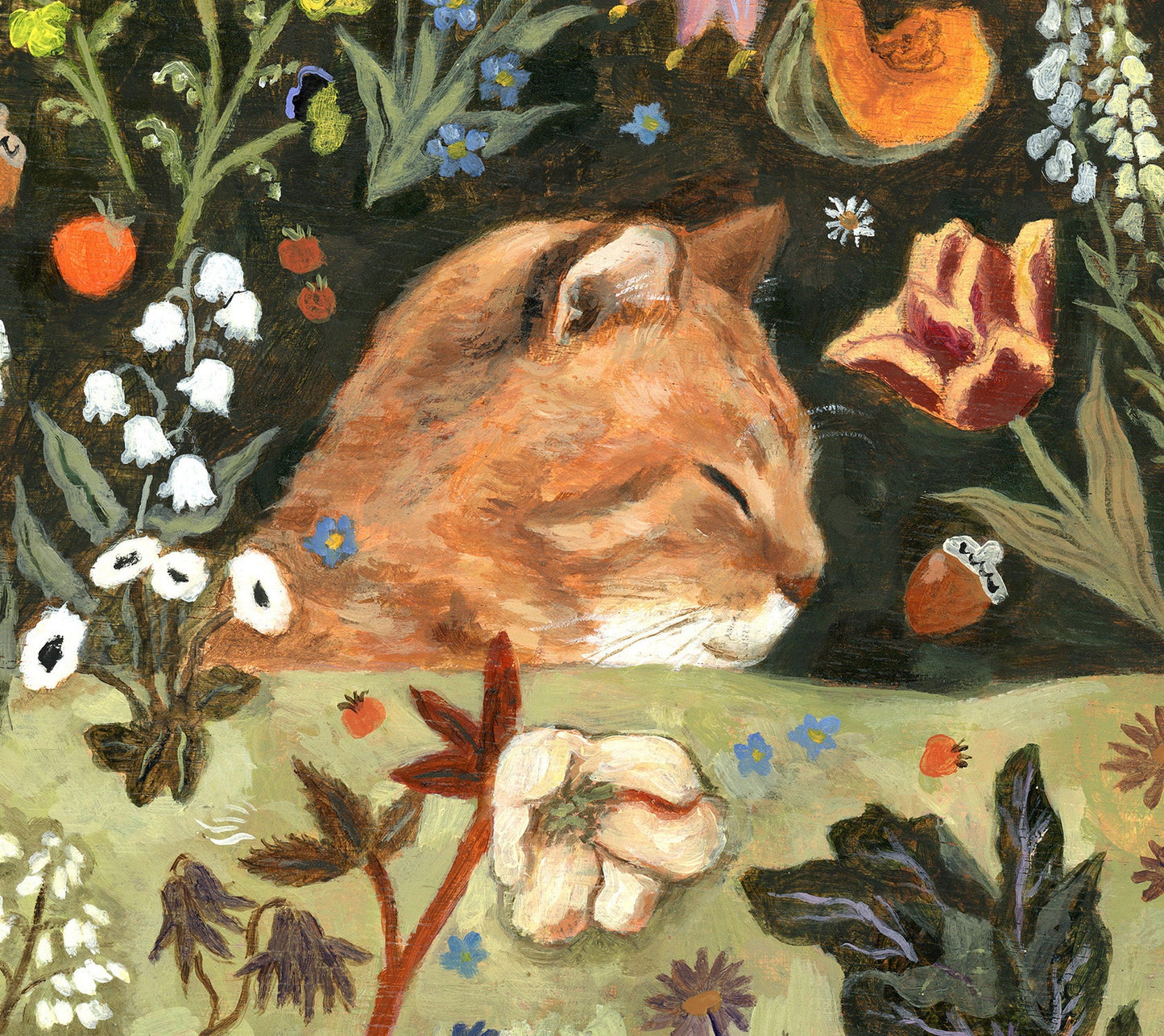 An orange cat and spring garden