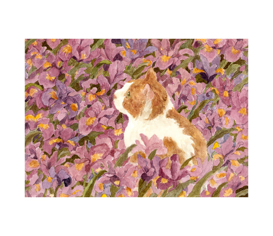 Ginger cat in violet iris garden