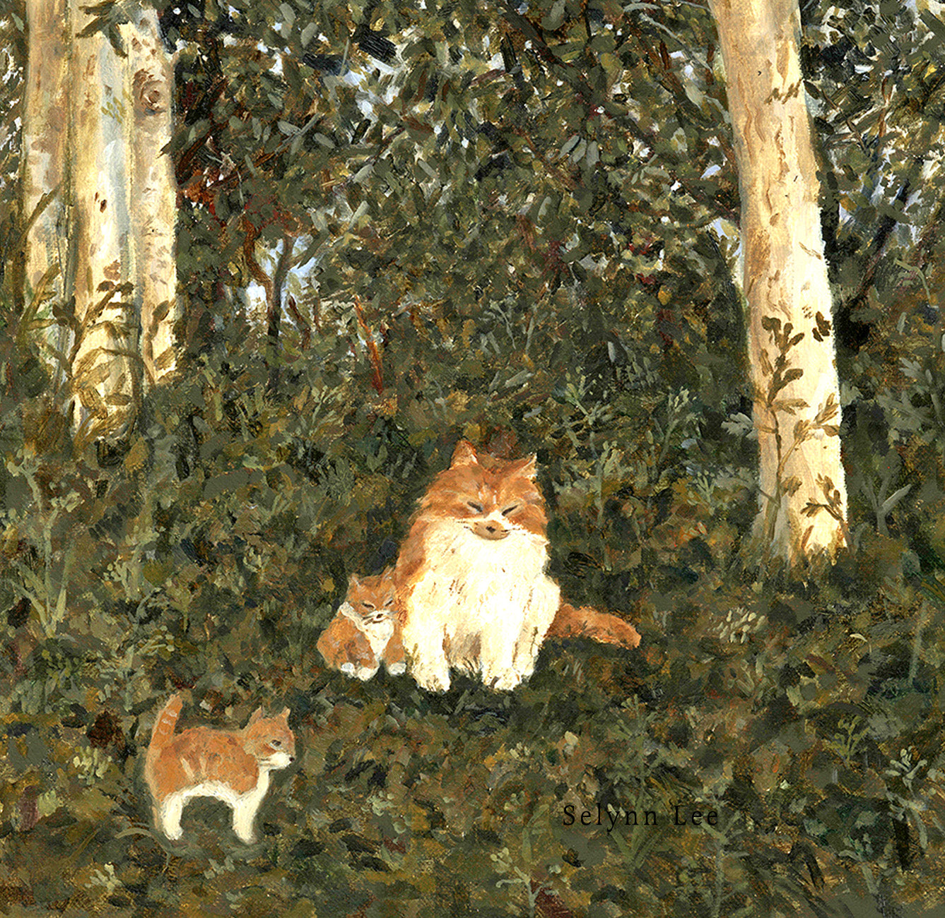 A family of cats in the Norwegian woods